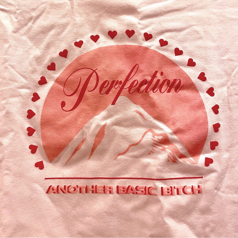 ⭐️ NWT Skinnydip London Perfection Pink Cropped Tee XL